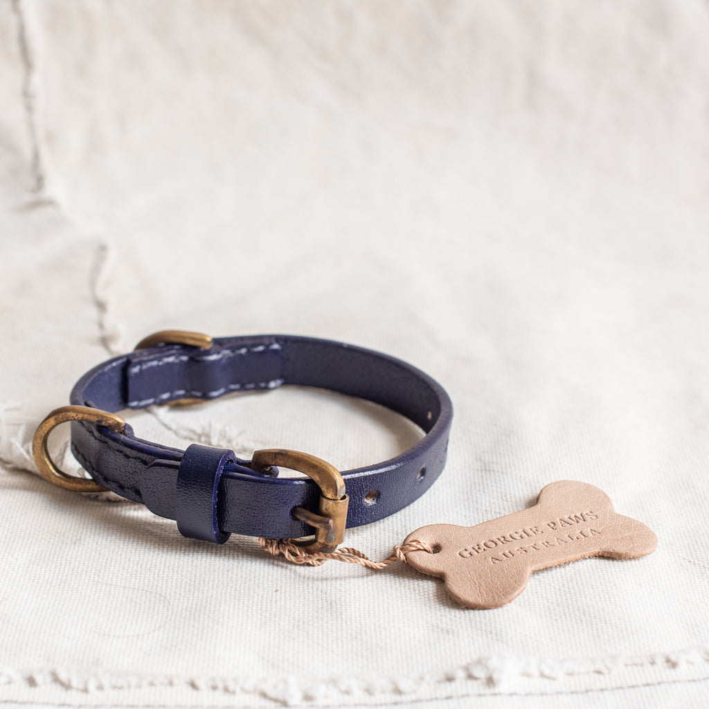Pet Collars - Bald Leather - The Lost + Found Department