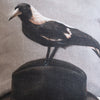Anita Mertzlin Linen Cushion - Magpie on Hat Cushion (Limited Edition) - The Lost + Found Department