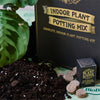 Indoor Plant Potting Kit - The Lost + Found Department