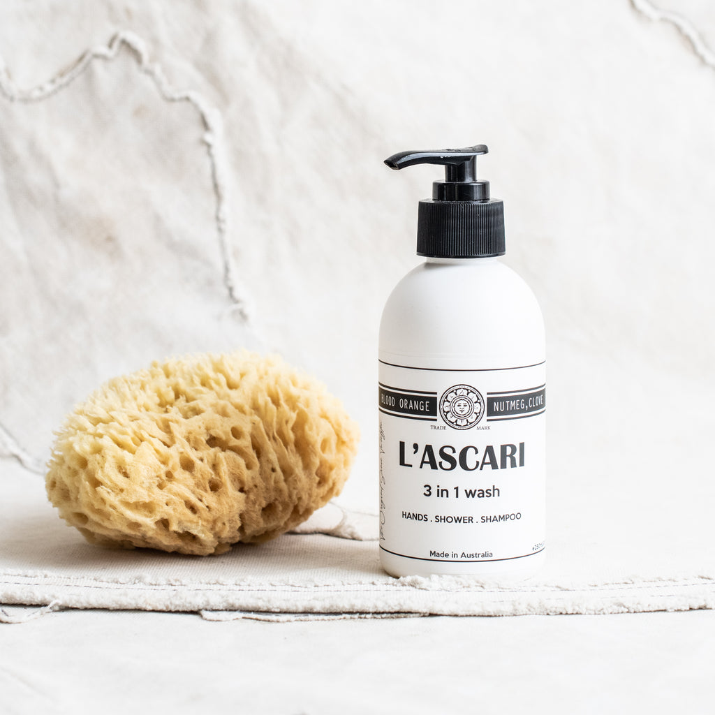 + L'Ascari 3 in 1 wash. Hands, Shower & Shampoo - The Lost + Found Department