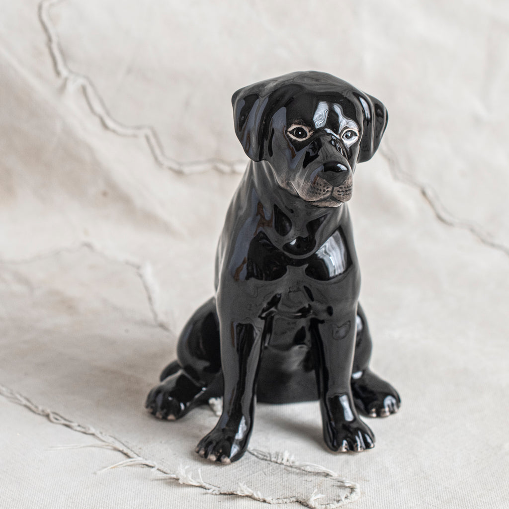 + Puppy Ceramic Money Boxes - The Lost + Found Department