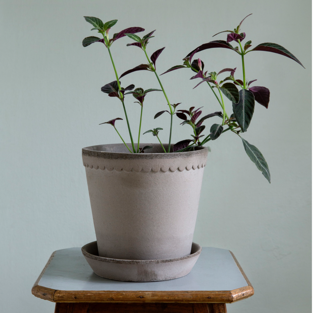 Bergs Potter Helena Pot - Rosa - The Lost + Found Department
